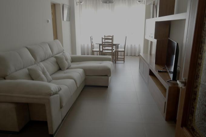 Apartamentos Turisticos Empecinado Roa 外观 照片