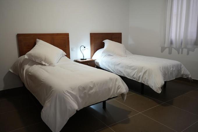 Apartamentos Turisticos Empecinado Roa 外观 照片