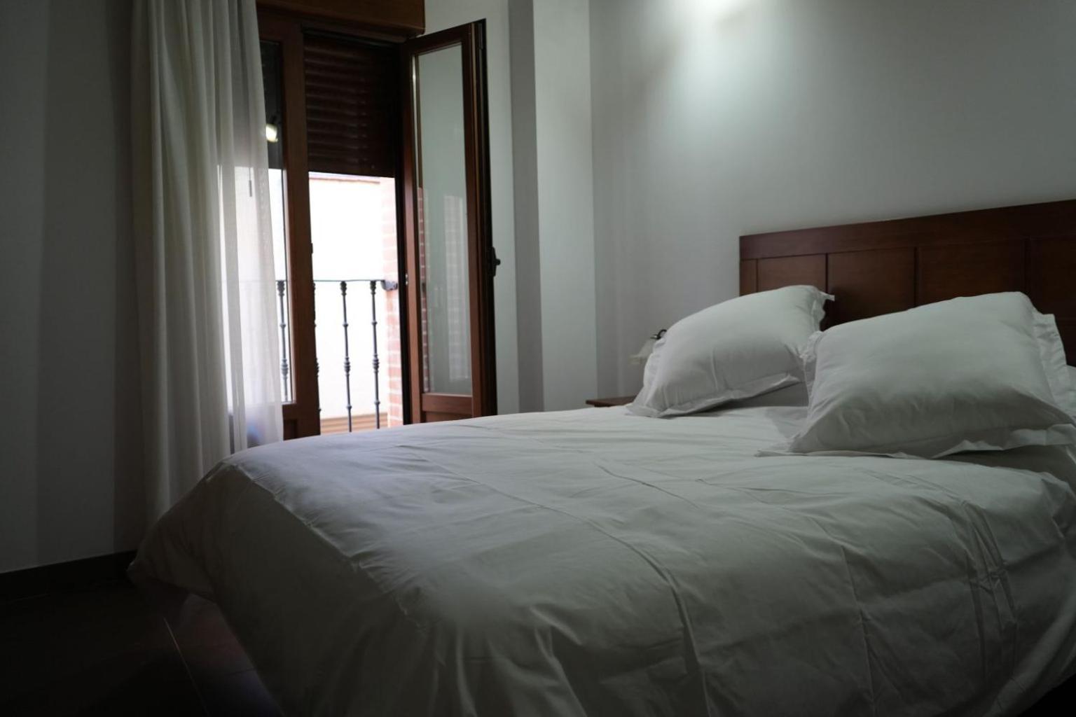 Apartamentos Turisticos Empecinado Roa 外观 照片
